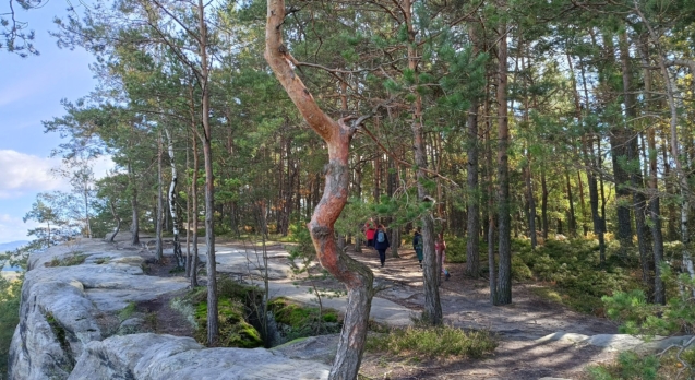 Pokračuji ve výcviku, všímavost se stává mojí vášní.