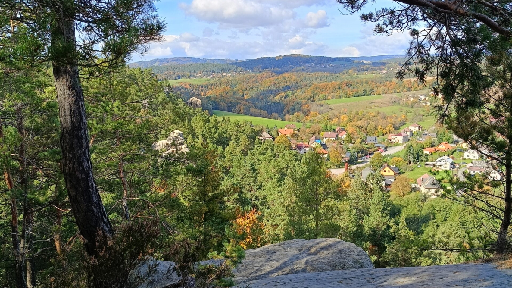 Ohlédnutí za rokem 2025